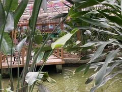 -南宫五洲植物乐园