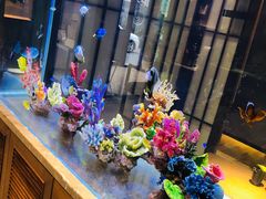 -水之惠鲜鱼料理(王府大街店)