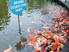 -南昌动物园