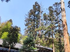 -东天目山风景区
