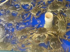 -阳澄湖大闸蟹·琼灵阁牌品牌连锁(吴中总店)