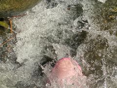 -新洲生态园