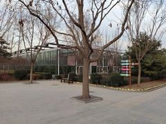 -南宫五洲植物乐园