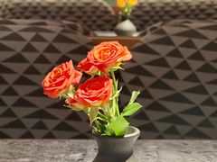 -芭莉与彩虹西餐厅(成都合生汇店)