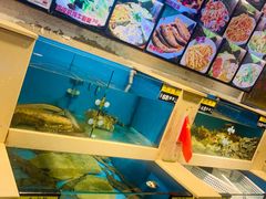水产区-鲜鲜·鲅鱼圈海鲜(于洪店)