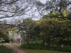 -江心屿景区