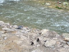 -通灵大峡谷