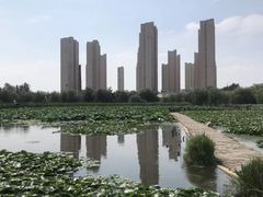 -前关湿地公园