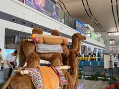 -敦煌莫高国际机场