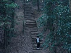 -南山植物园