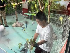 -哈尔滨极地公园