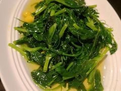 清炒豌豆尖-眉州东坡(中关村店)