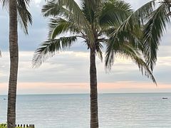 -半山半岛洲际度假酒店·观海廊