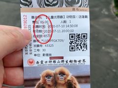 -西霞口神雕山野生动物世界