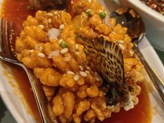 松鼠桂鱼-春熙小馆(乘风庄店)