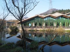 -西湖风景区-江洋畈生态公园