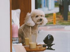 -Line 咖啡(石厦花园店)