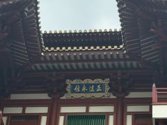 -新加坡佛牙寺龙华院