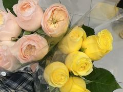 -循礼门鲜花花市(武汉循礼门店)