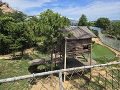 -西霞口神雕山野生动物世界