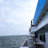 大灣區二號⛴️🚢🛥️