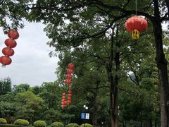 -云溪植物园