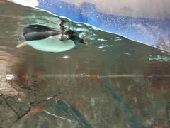 -石林冰雪海洋世界