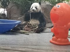 -临沂动植物园