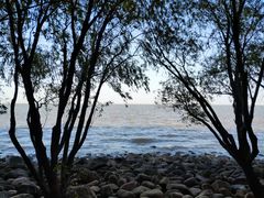 -上海吴淞炮台湾国家湿地公园