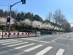 -黄兴公园