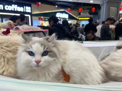 -吾悦广场(南京鼓楼店)