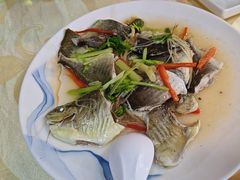 -潮之南·潮汕菜·鱼仔档(南山店)