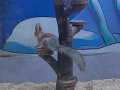 -海合安青岛极地海洋公园