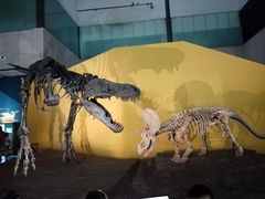 -湖南省地质博物馆