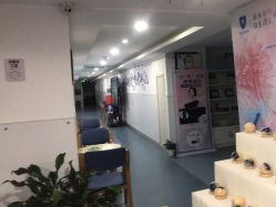 -温州伯思立医院