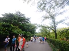 -汉拿树木园