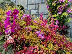 -北京植物园-展览温室