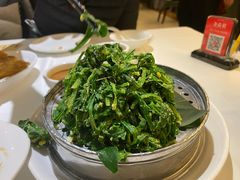 -金春禧(世茂国际广场店)