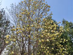 -永定河休闲森林公园