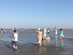 -南汇嘴观海公园