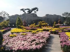 -南通洲际绿博园