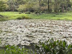 -杭州植物园