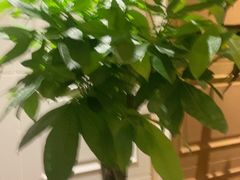 -洛阳宴·洛阳菜(南昌路店)