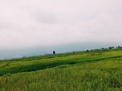 -大理洱海
