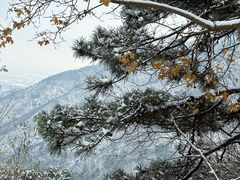 -香山公园
