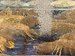 -小厨师·二十年沈家门小海鲜(百井坊巷店)