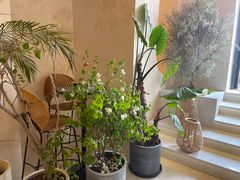 -HUATA 'Holiday Plan 花榻