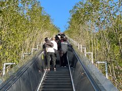 -千岛湖天屿景区
