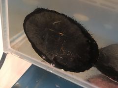 -同乐酒楼(皇后镇店)