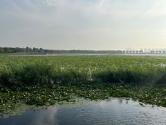 -天津东丽湖风景区